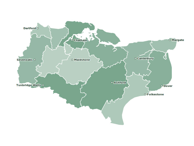 Surgical support for veterinary practices across Kent